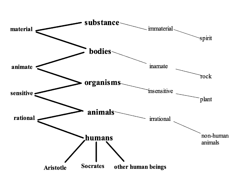 3rd century bc mind map example